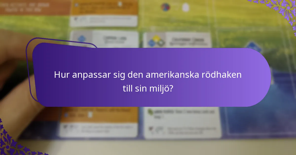 Vad äter den amerikanska rödhaken?