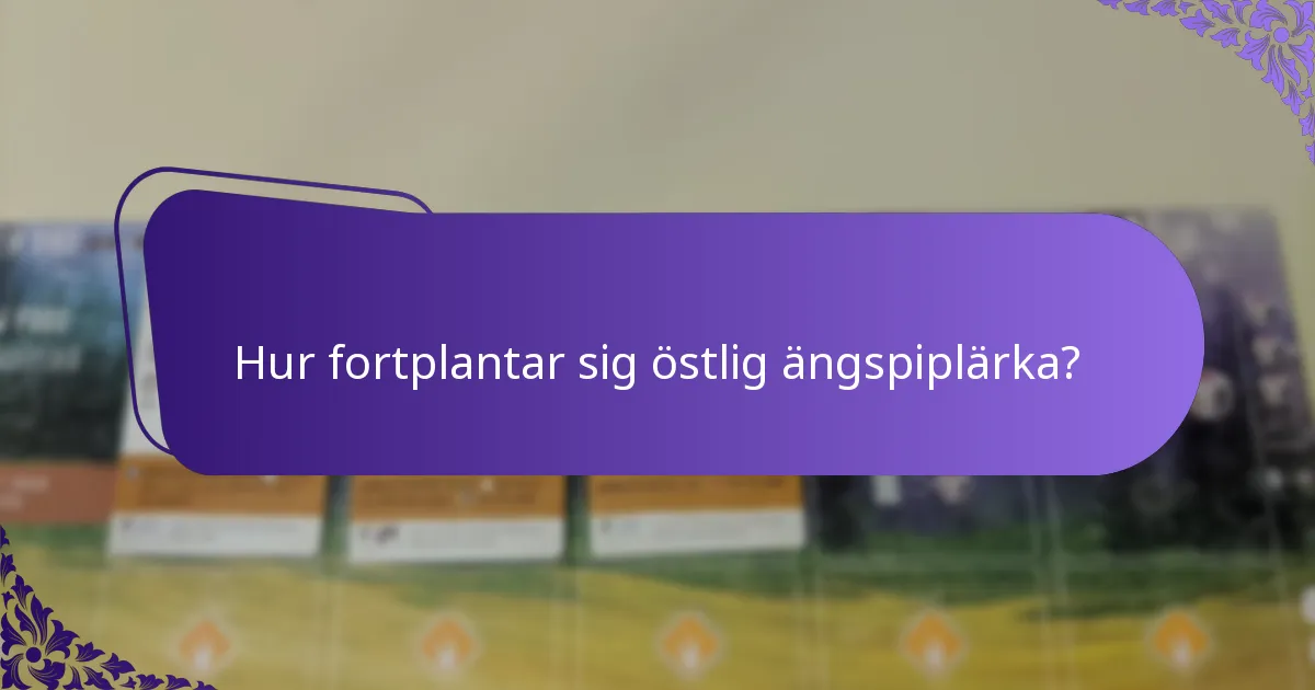 Var bor östlig ängspiplärka vanligtvis?