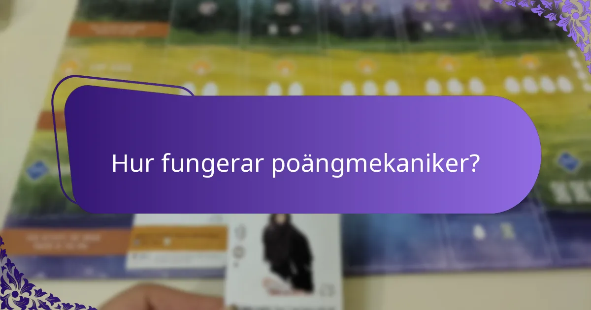 Hur fungerar poängmekaniker?