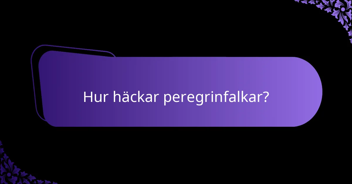 Var lever peregrinfalken?