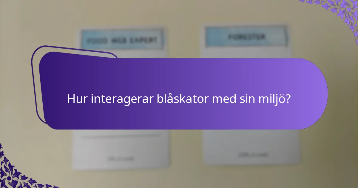 Var brukar blåskator leva?