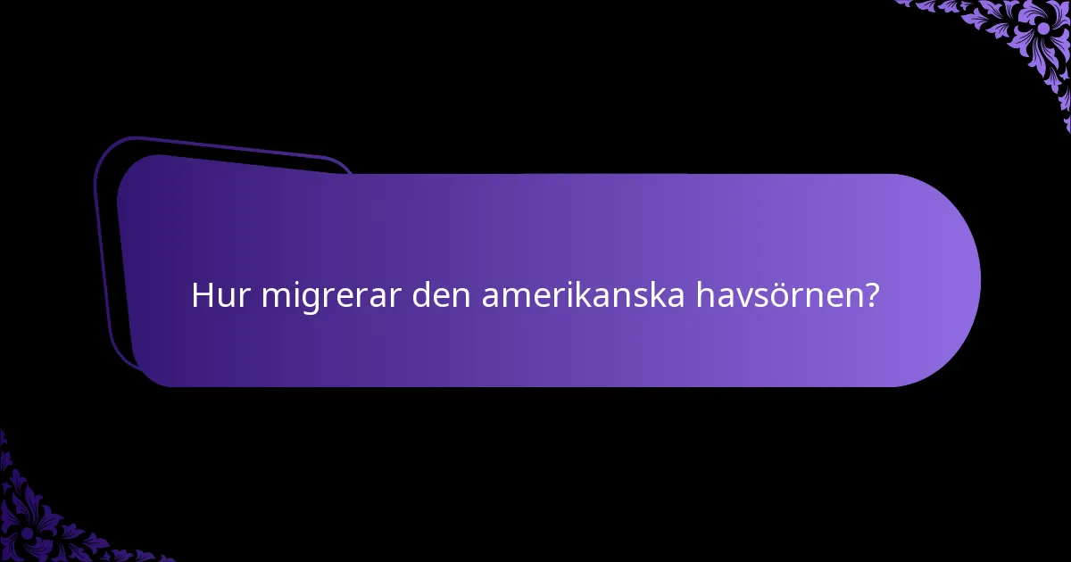 Hur migrerar den amerikanska havsörnen?