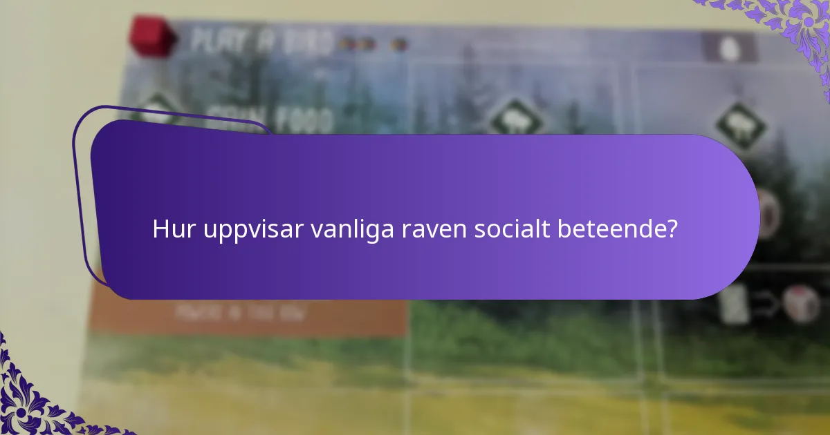 Hur uppvisar vanliga raven socialt beteende?