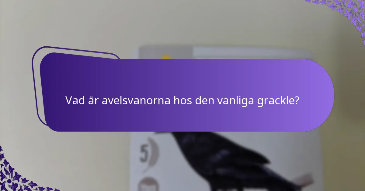 Vad är avelsvanorna hos den vanliga grackle?