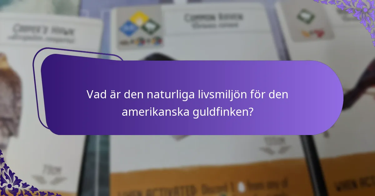 Hur kan du locka amerikanska guldfinkar till din trädgård?