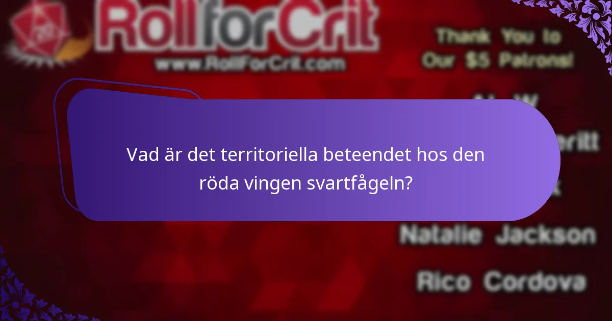 Hur anpassar sig den röda vingen svartfågelns beteende till miljöförändringar?