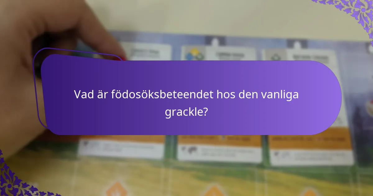 Hur anpassar sig vanliga gracklar till miljöförändringar?