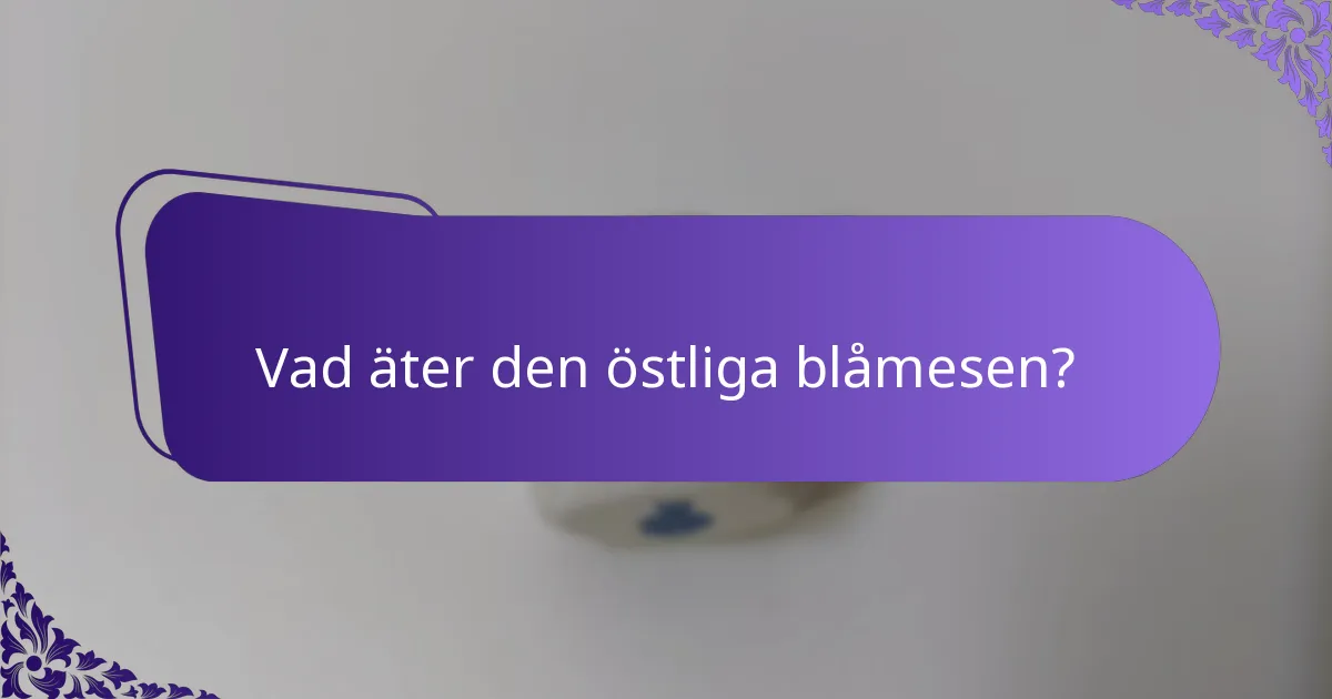 Vad äter den östliga blåmesen?
