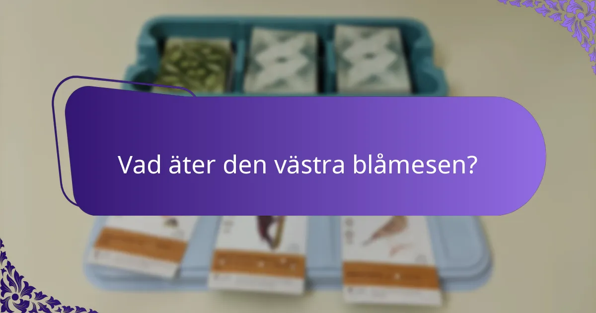 Hur häckar västra blåmesar?