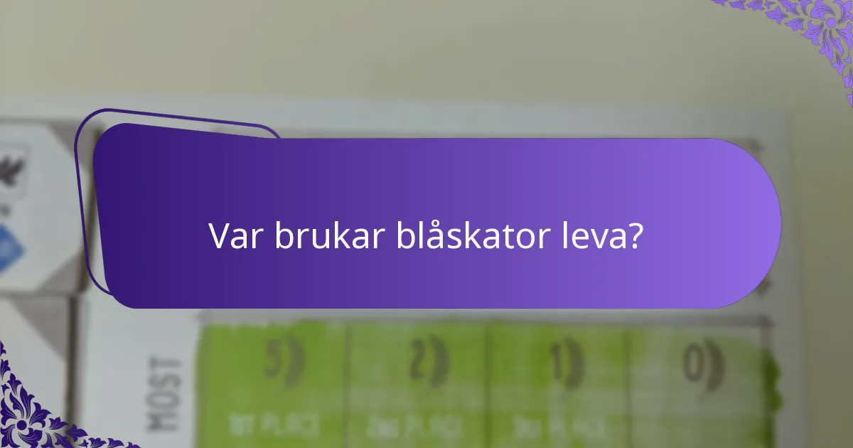 Hur interagerar blåskator med sin miljö?