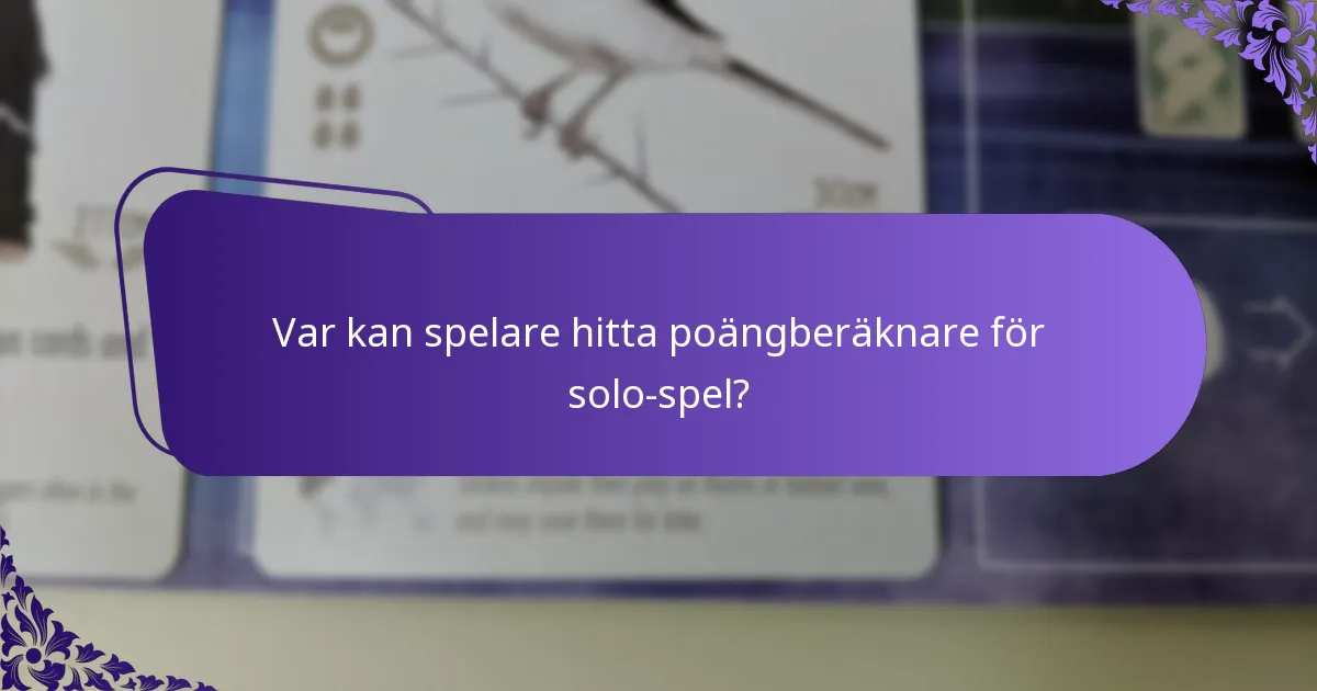 Var kan spelare hitta poängberäknare för solo-spel?