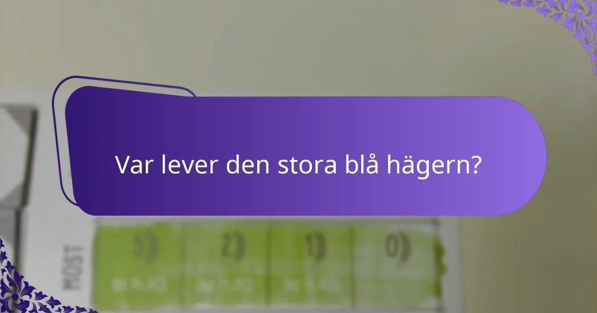Vilka är bevarandeproblemen för den stora blå hägern?