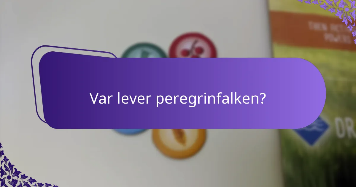 Hur häckar peregrinfalkar?