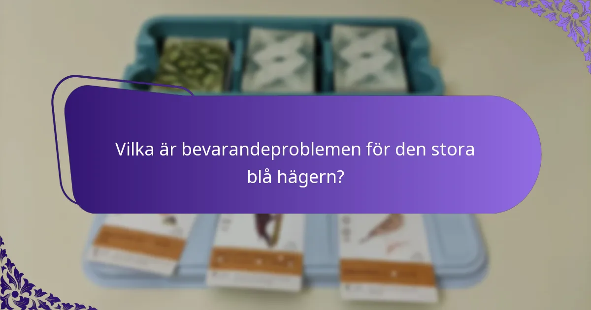 Hur jämför sig den stora blå hägern med andra hägerarter?