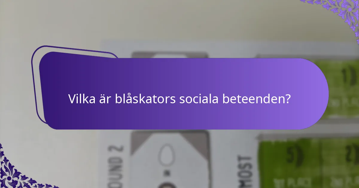 Vilka hot står blåskator inför i sina livsmiljöer?