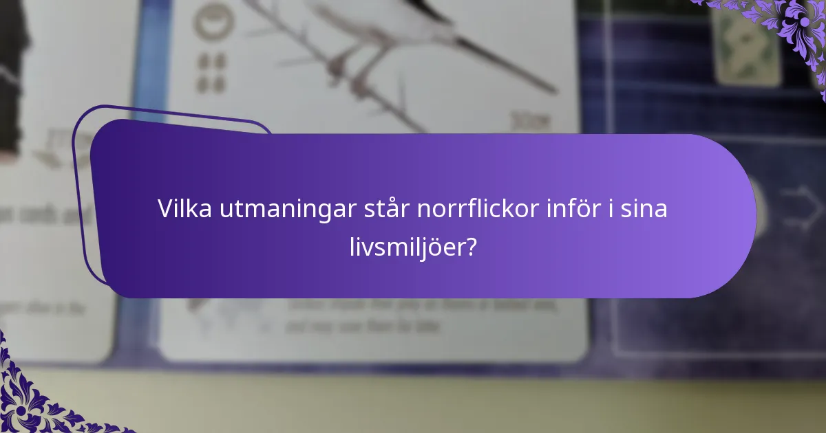 Vilka utmaningar står norrflickor inför i sina livsmiljöer?